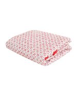 Traditional Nakshi Kantha -NK27